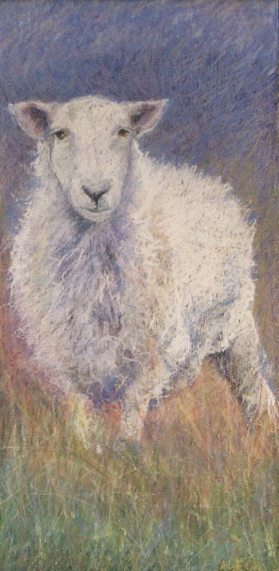 Cork by Aleda O'Connor